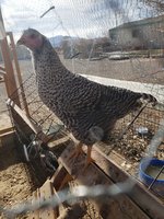 20181214_121024.jpg