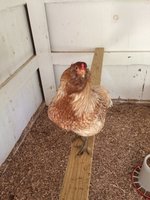 iphone pics 295.JPG