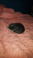 20181214_235739.jpg