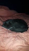 20181214_235749.jpg
