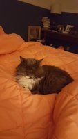 20181214_235949.jpg