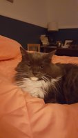 20181214_235952.jpg