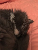 0DC7D2C9-91E1-4C8E-A9A4-8941EC0E5959.jpeg