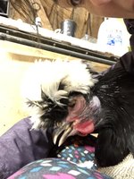 71ED5059-65B7-490C-BCEF-1AE4ACF32B9B.jpeg