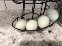 89C02C90-794B-49AD-AC5E-08721C650998.jpeg