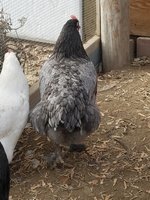 20181215_114139.jpg