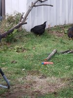20181215_114134.jpg