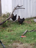 20181215_114141.jpg