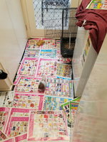 20181216_200420(0).jpg