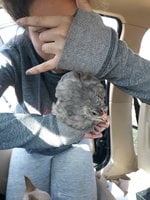 20181216_134458.jpg