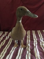 IMG_0322.jpg