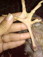 IMG_20181216_194912.jpg