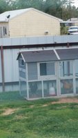 20180713_170048.jpg