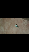 Screenshot_2018-12-17-20-53-17-673_com.miui.videoplayer.png
