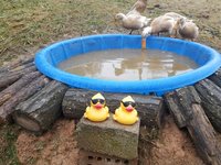20181204_161159.jpg