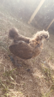 CE7D05FC-2321-44D5-8C9C-87678C292B37.png