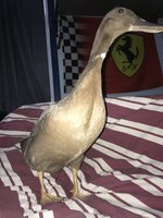 IMG_0283 2.jpg
