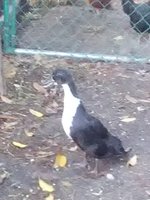 IMG_20181216_080001.jpg
