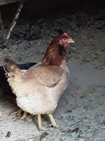 20181218_150159.jpg