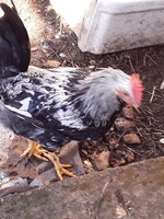 20181218_095605.jpg
