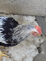 20181218_095515.jpg