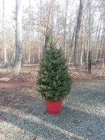 20181219_111756.jpg