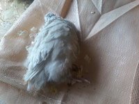 20181220_103128.jpg