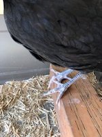 IMG_3377.JPG