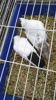IMG_20181220_140944.jpg
