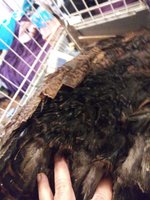 20181220_135923.jpg