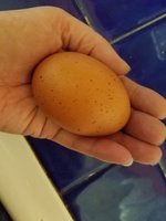 20181220_212600.jpg