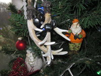IMG_2392.JPG