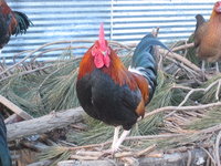 IMG_2389.JPG