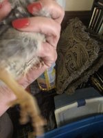 B2CB0A87-DA89-4DB8-8A1A-B8FC324E5F71.jpeg