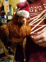 20171208_224954.jpg