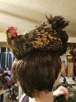20180224_220739.jpg 20180224_220739.jpg