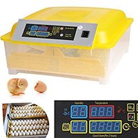 Incubator.jpg