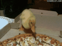 8FA9B8B8-960D-4A02-9E78-68FEB875D609.gif