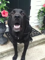 28343B03-A96D-46BA-8A02-71DEED5CE9D8.jpeg 28343B03-A96D-46BA-8A02-71DEED5CE9D8.jpeg