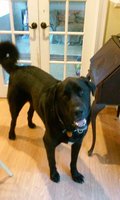 93705586-D079-40B4-A25E-4F06400AC849.jpeg