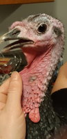 20181228_212810.jpg