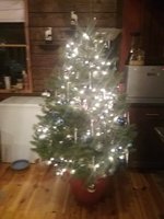 20181228_204214.jpg