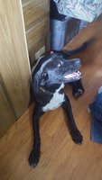 20180730_120744.jpg
