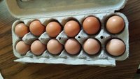 20160805_104337.jpg