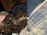 IMG_20181229_231547.jpg