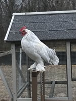 IMG_4302.JPG
