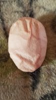 20181230_155422.jpg