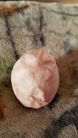 20181230_155447.jpg
