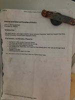 20181230_210532.jpg