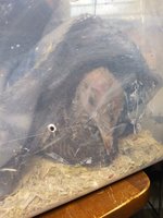 20181030_145800.jpg